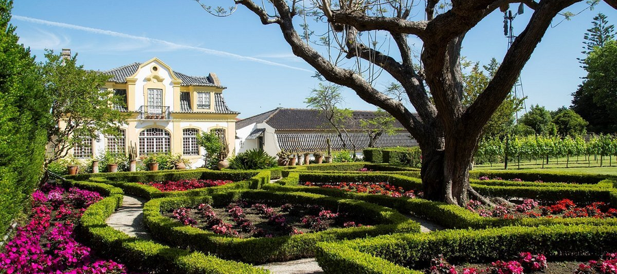 Beautiful landscaped gardens with colorful flowers and topiary in front of the José Maria da Fonseca wine estate in Azeitão, Portugal