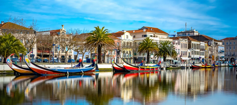 Traditional moliceiro boats lined up along the canals of Aveiro, Portugal, with colorful buildings and palm trees reflected on the water