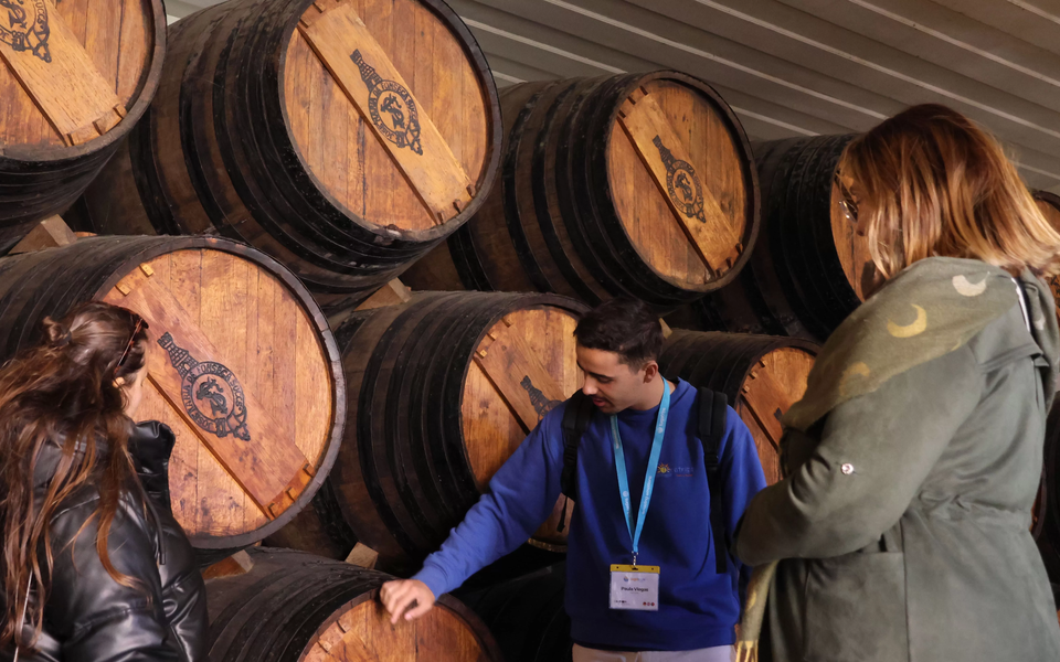 Wine guide explaining ageing barrels to visitors during a cellar tour in a Port wine lodge.