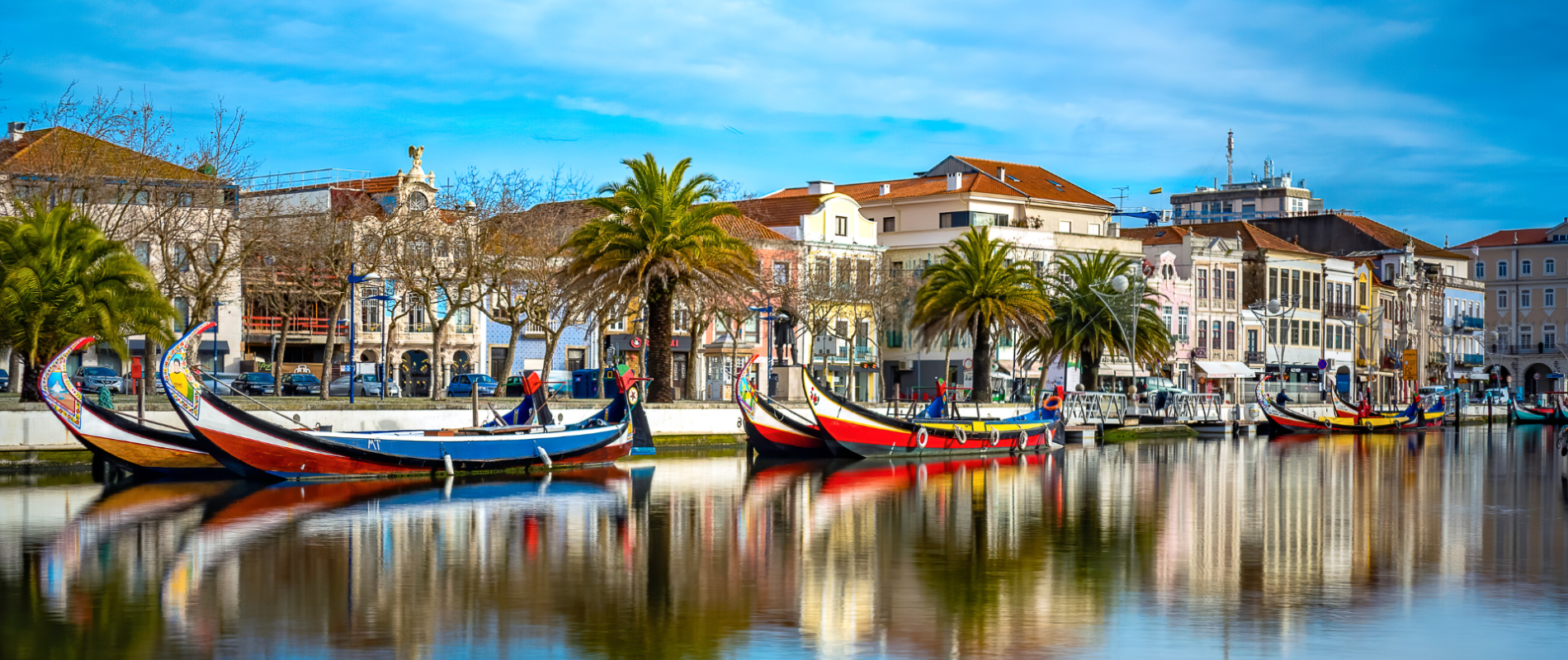 Traditional moliceiro boats lined up along the canals of Aveiro, Portugal, with colorful buildings and palm trees reflected on the water