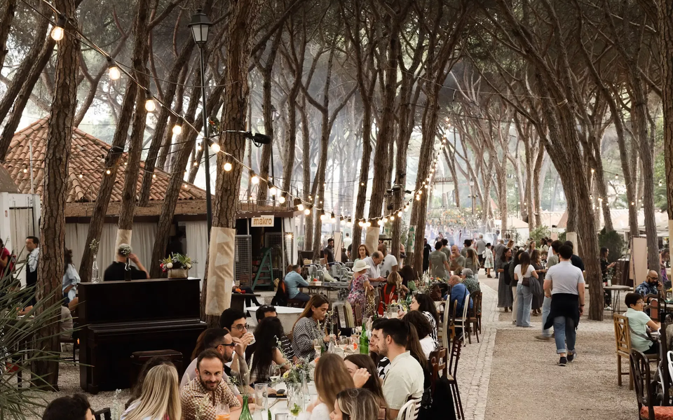 Outdoor food festival set in a pine forest, with long communal tables filled with people dining, string lights hanging above, and food stalls in the background.