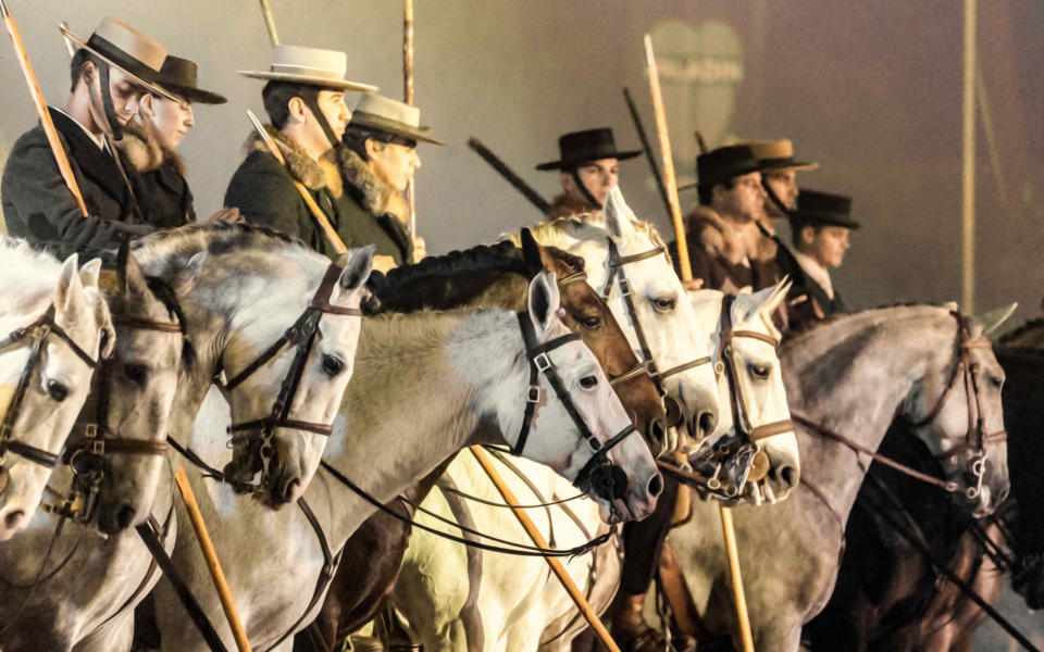 Group of horsemen lined up in traditional outfits and typical Golegã hats, mounted on Lusitano horses