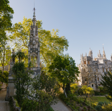 Panoramic view of the palace from the top of the Quinta da Regaleira hill, capturing the elegance of the architecture and landscape.